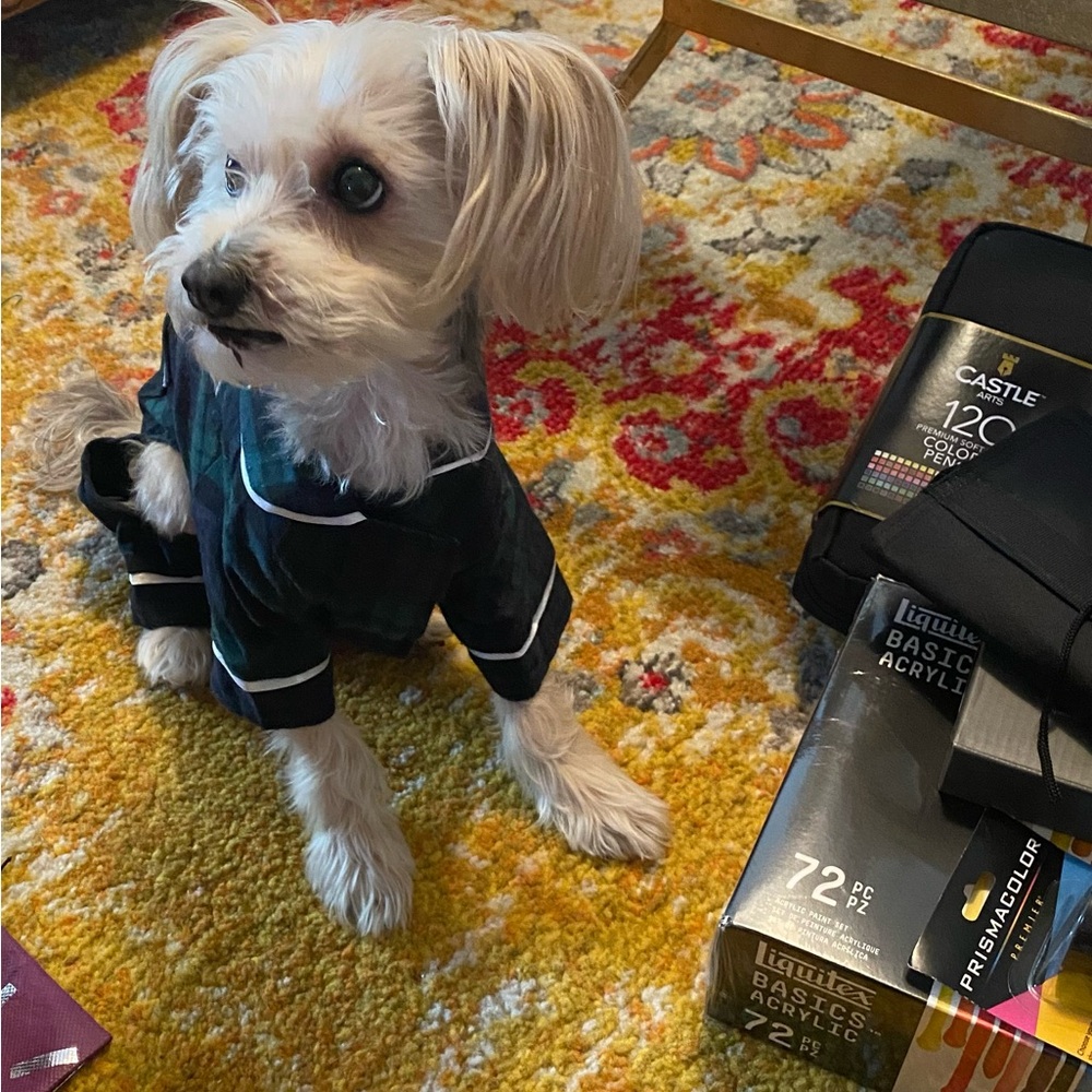Winter Wardrobe for your Furbaby!